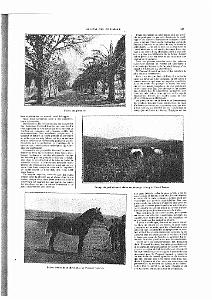 LIVRE D OR DE L ORANIE_000086